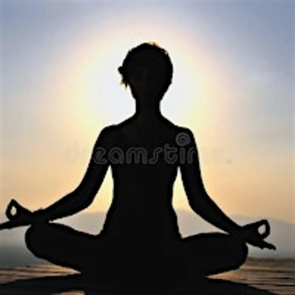 Donation Based Vinyasa Yoga