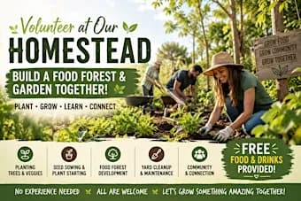 Homestead Volunteer Day – Help Build a Food Forest!