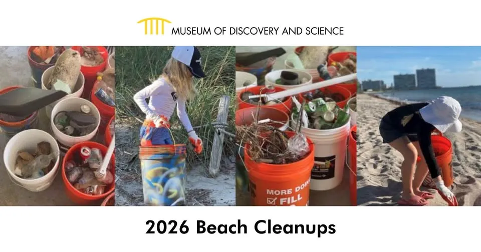 Beach Cleanup