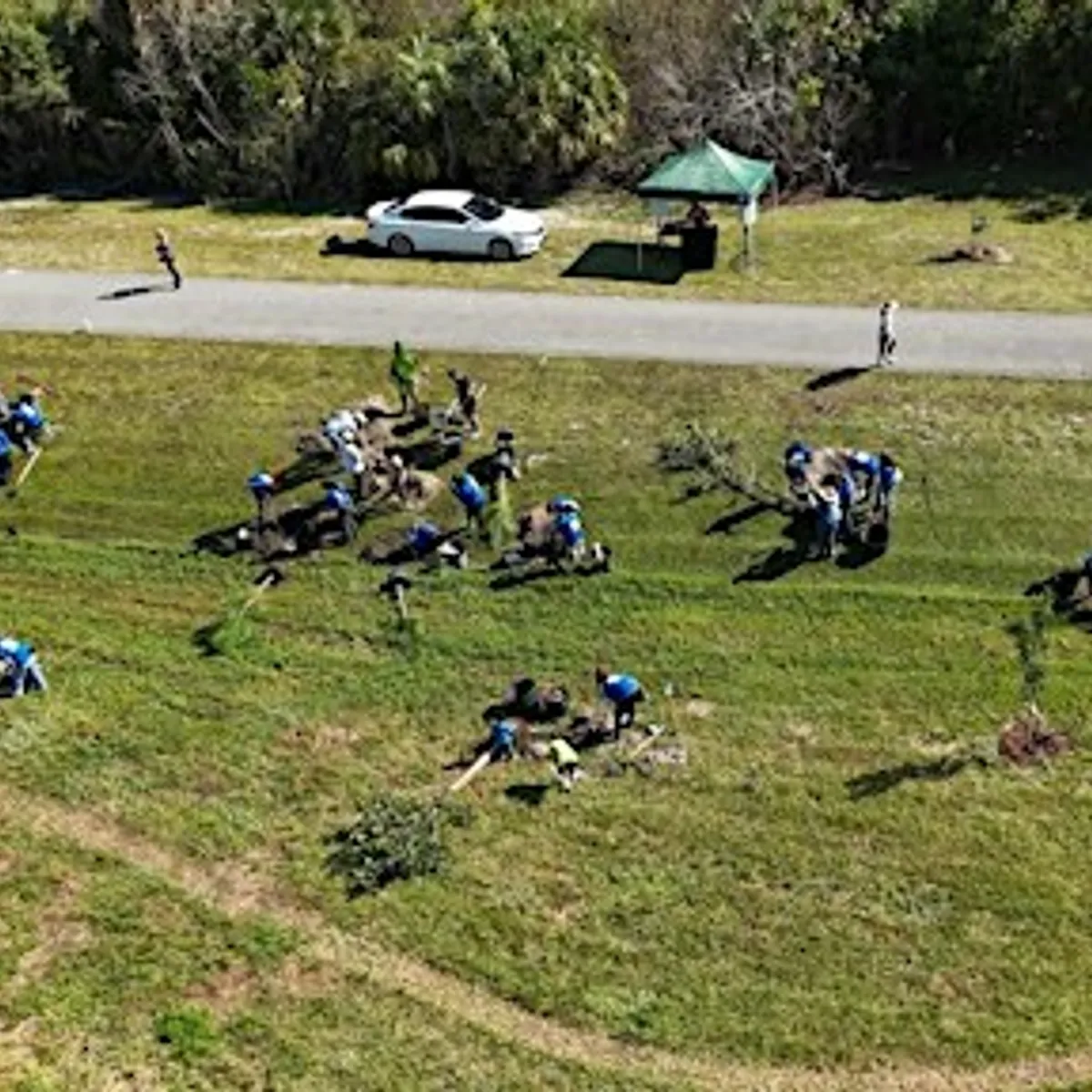 Haverhill Park Tree Planting | Volunteers (10/3/26)