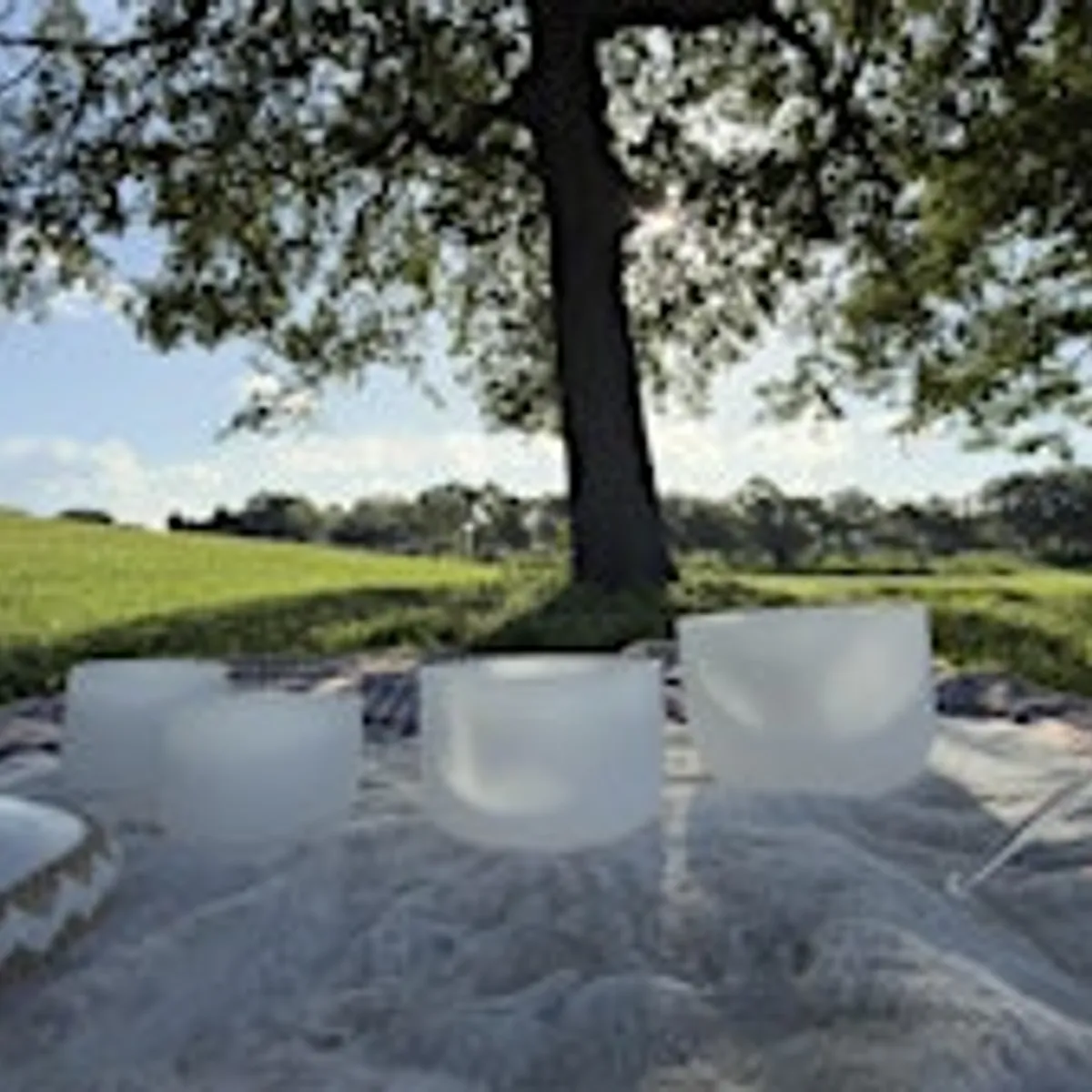 Sound Meditation at the park