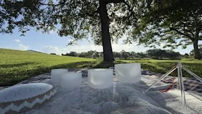 Sound Meditation at the park