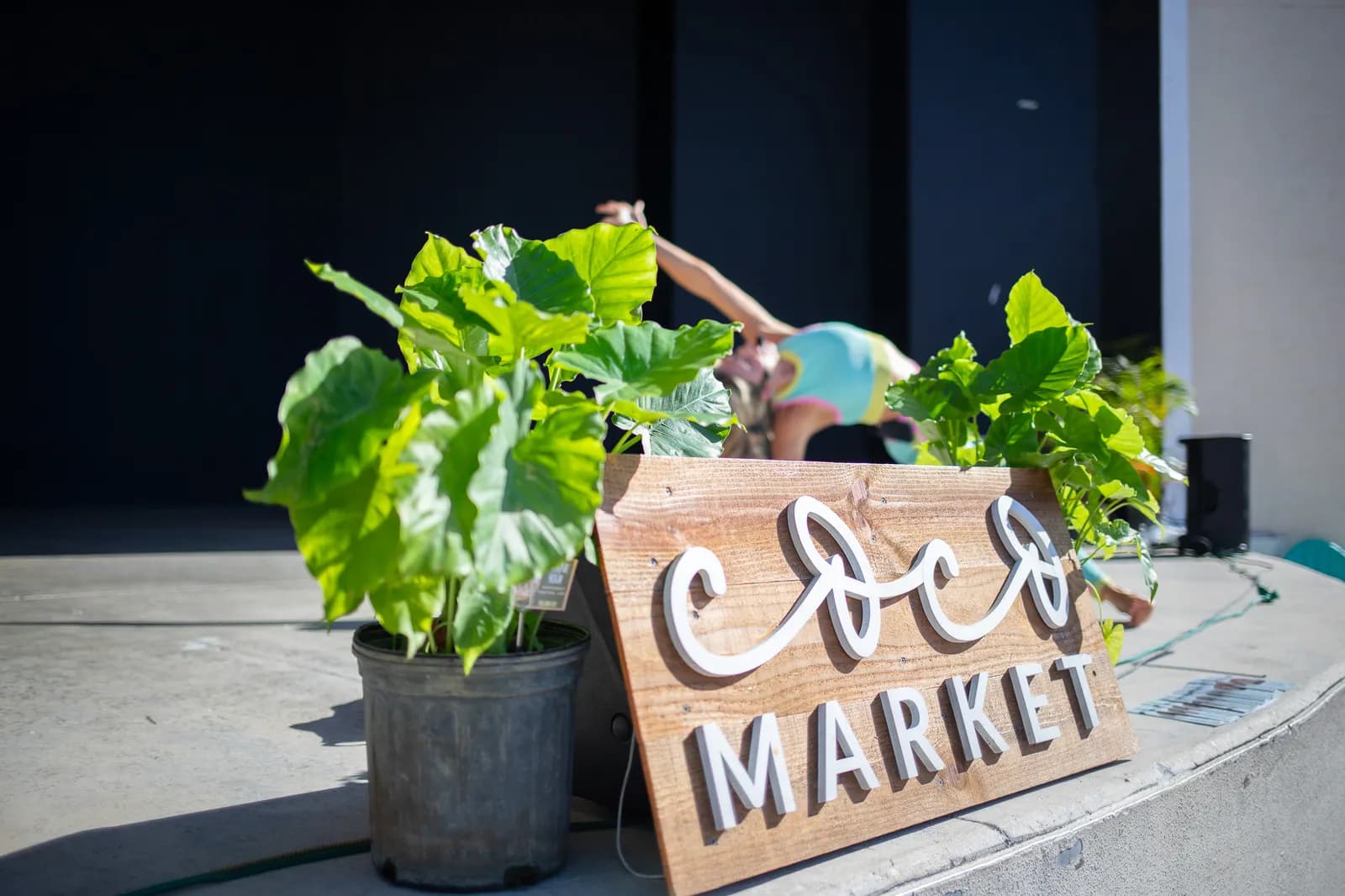 Coco Market Delray