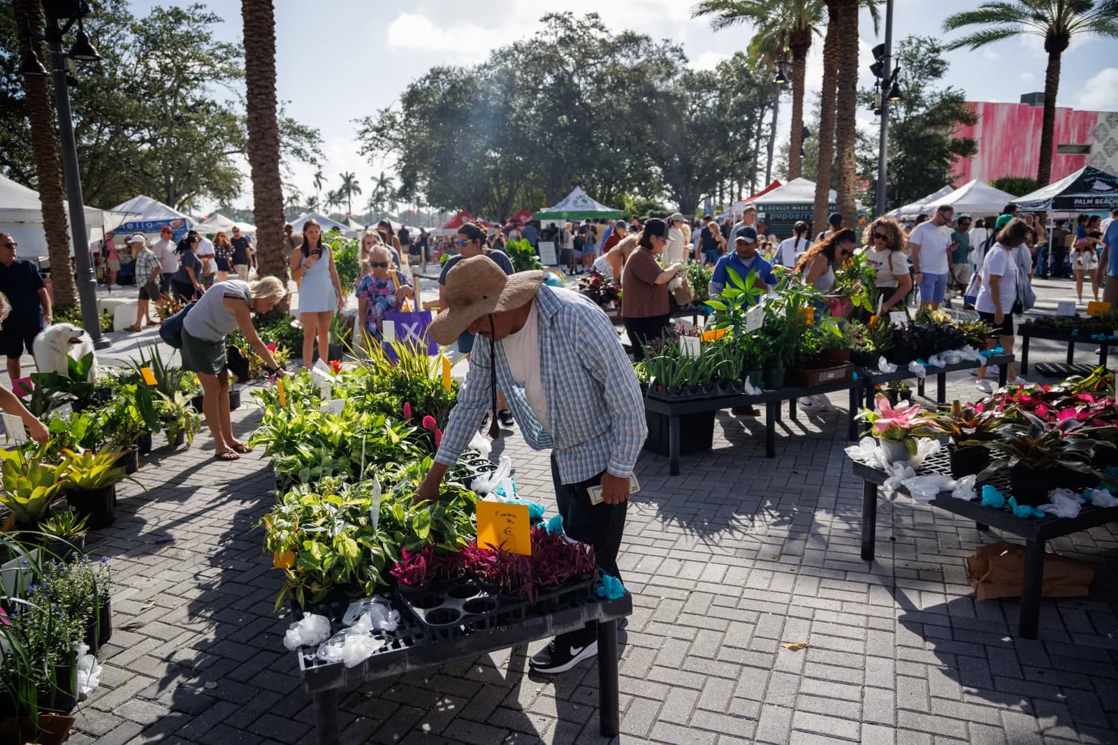 City of West Palm Beach GreenMarket