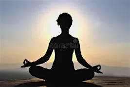 Donation Based Vinyasa Yoga