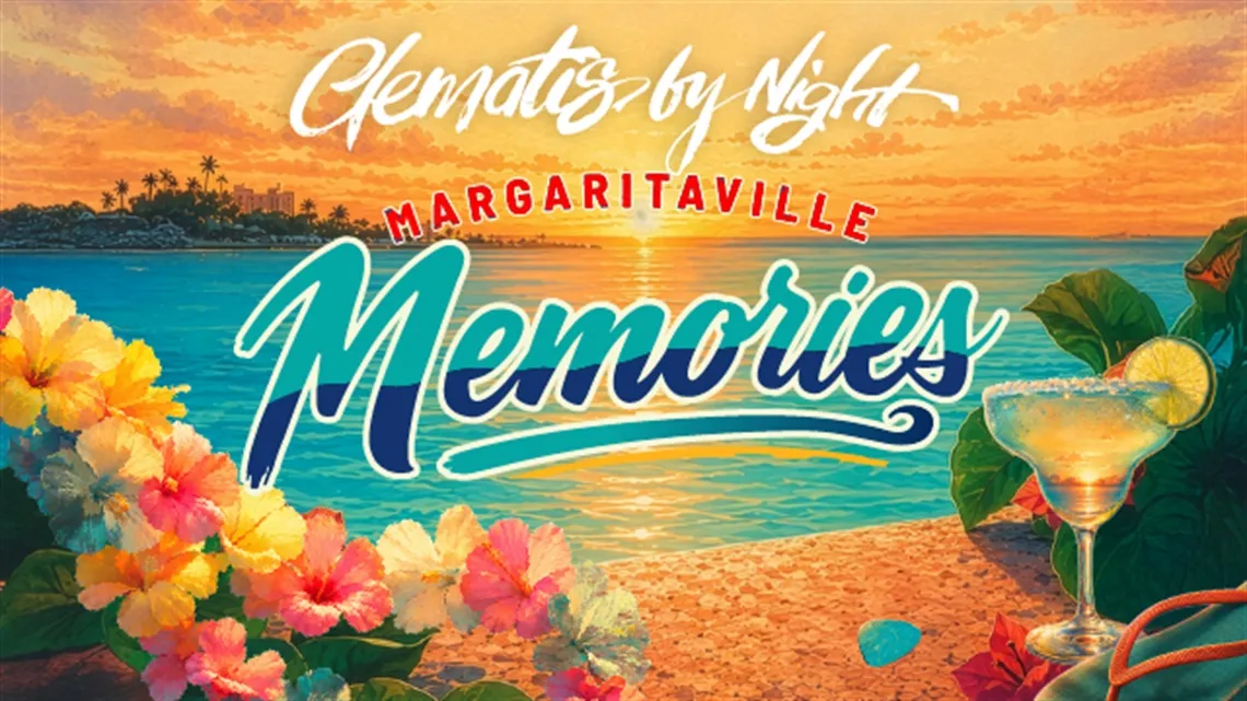 Clematis By Night: Margaritaville Memories