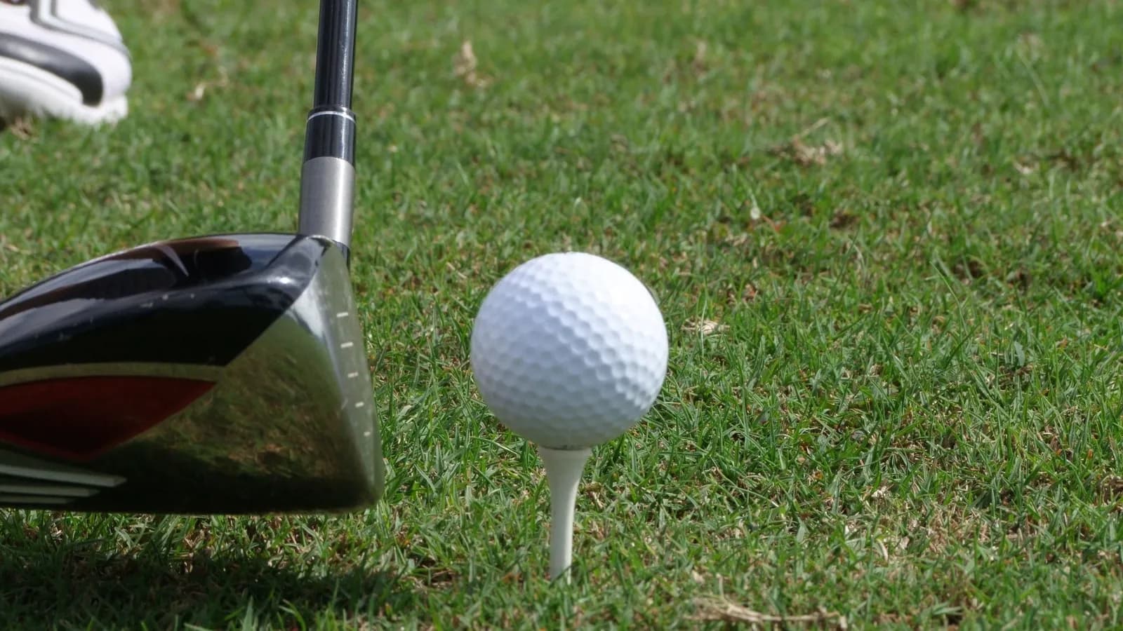 WTGL - Los Angeles Golf Club v New York Golf Club