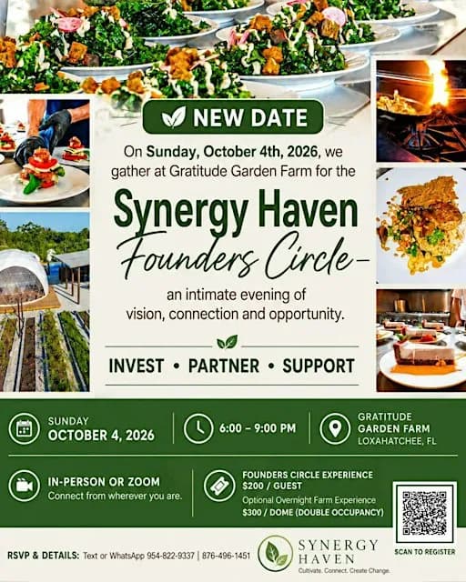 Synergy Haven's Founding Circle