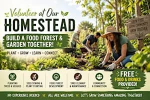 Homestead Volunteer Day – Help Build a Food Forest!