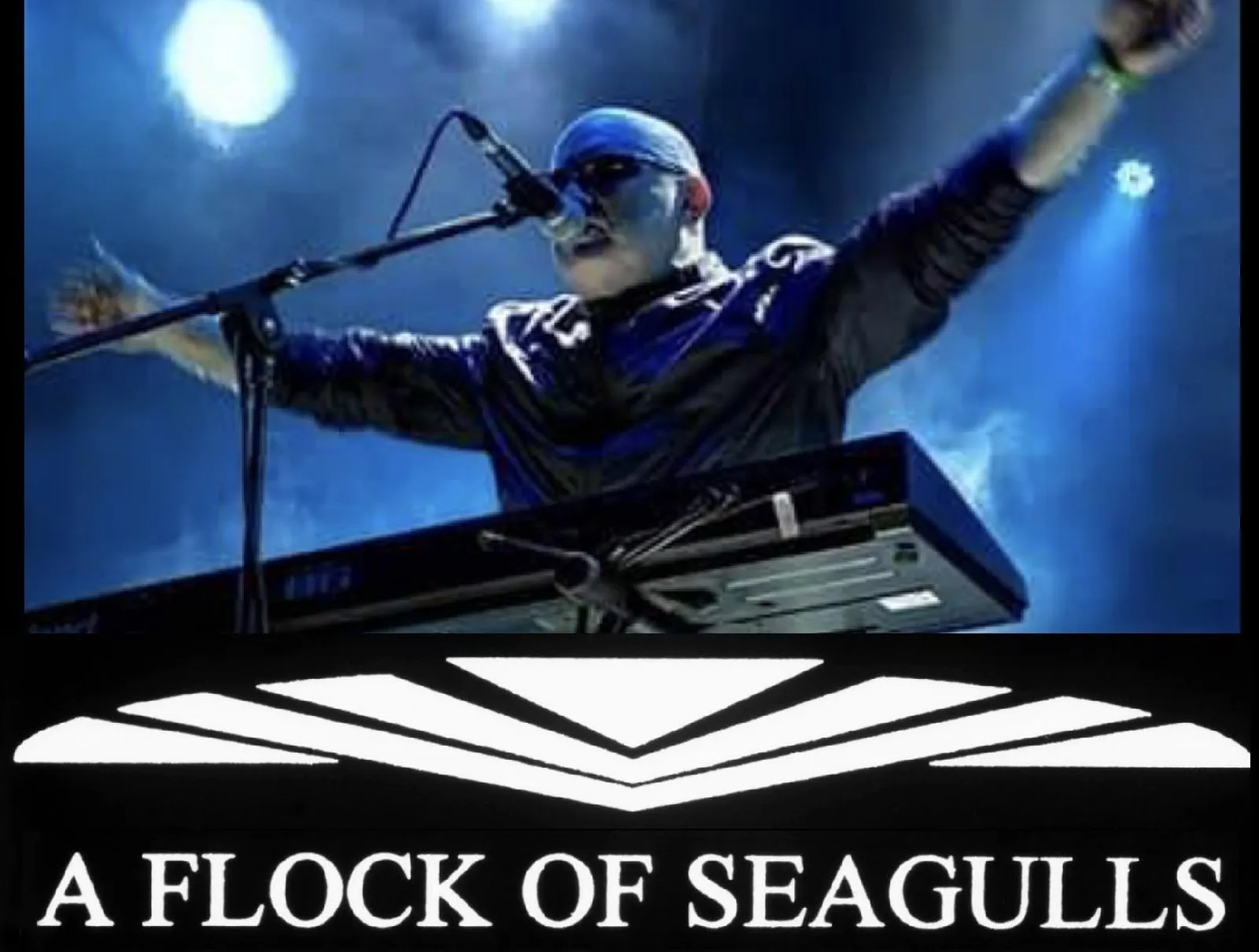 A Flock of Seagulls