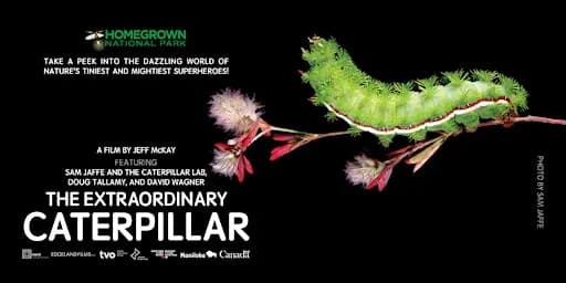 Extraordinary Caterpillar Film - FL NATIVE PLANT SOCIETY - West Palm Beach