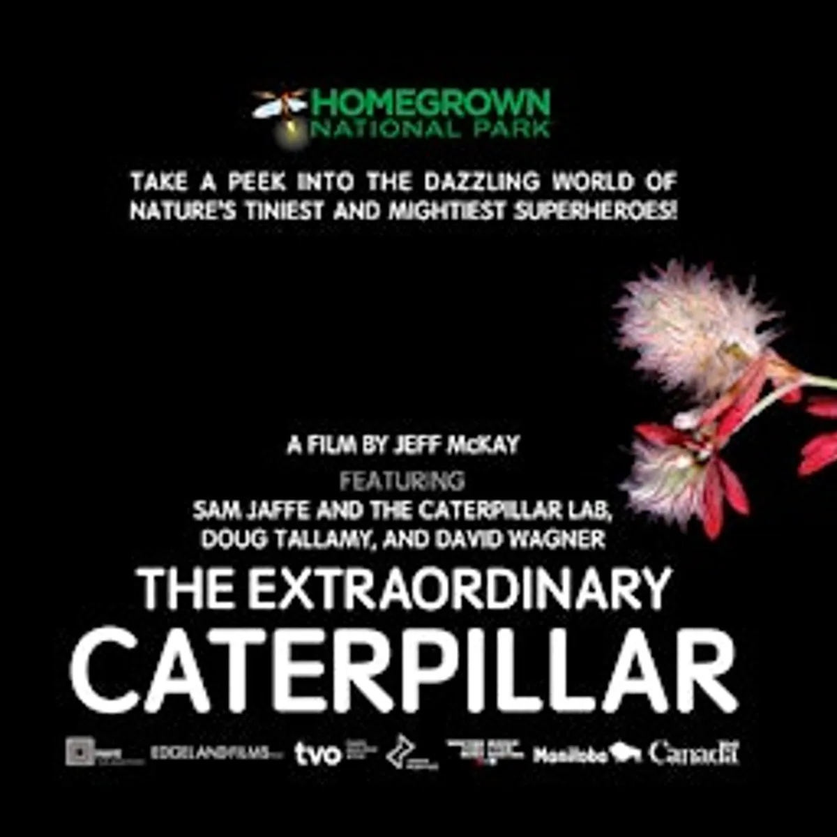 Extraordinary Caterpillar Film - FL NATIVE PLANT SOCIETY - West Palm Beach