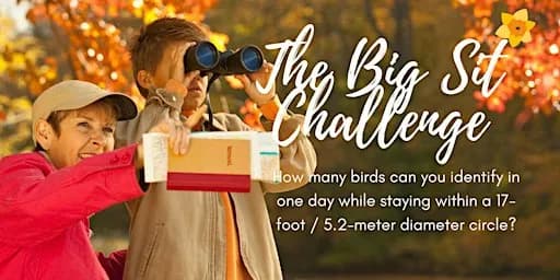 The Big Sit!