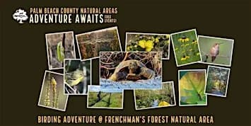 Adventure Awaits -Birding Adventure @ Frenchman's Forest
