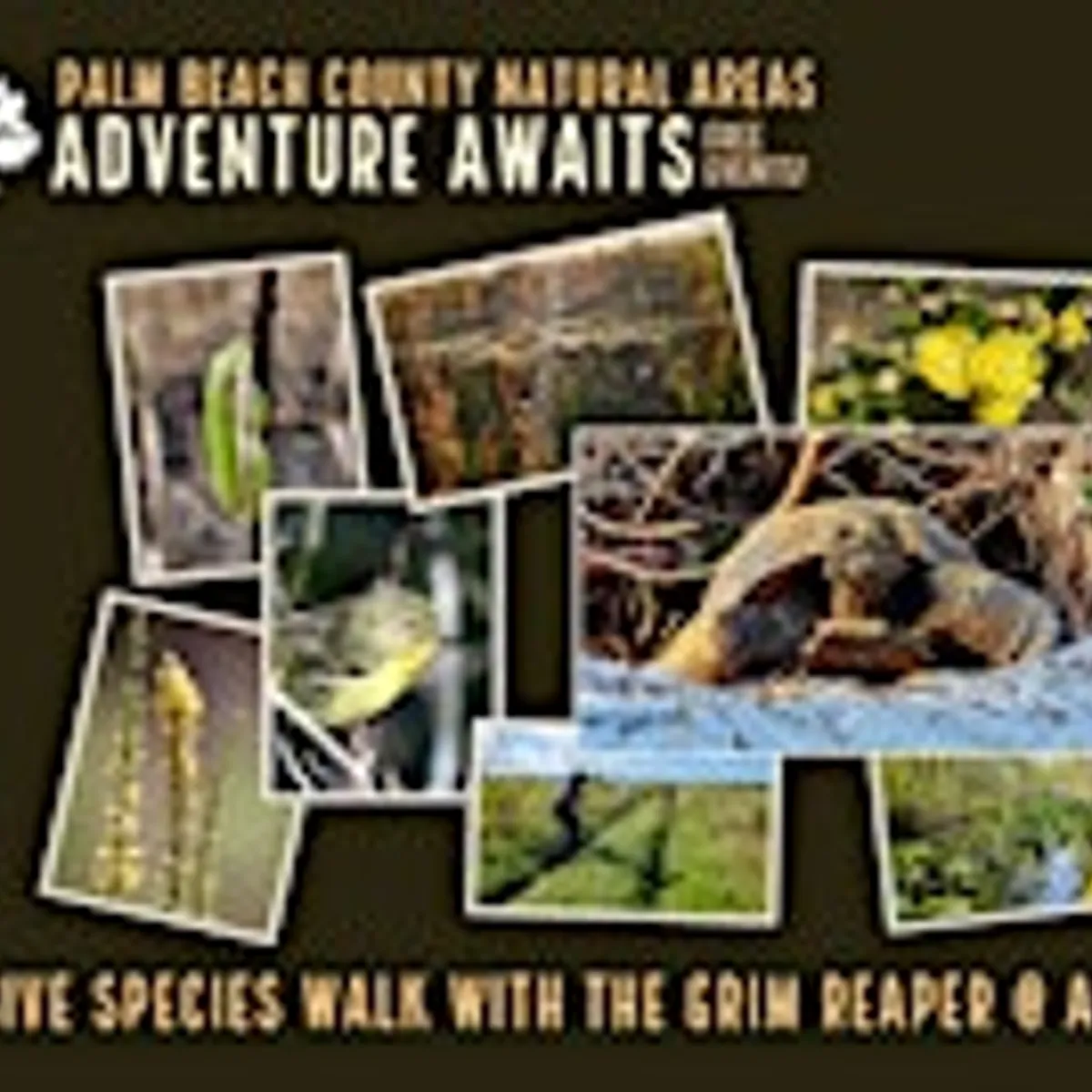 Adventure Awaits - Invasive Species with the Grim Reaper @ Acreage Pines