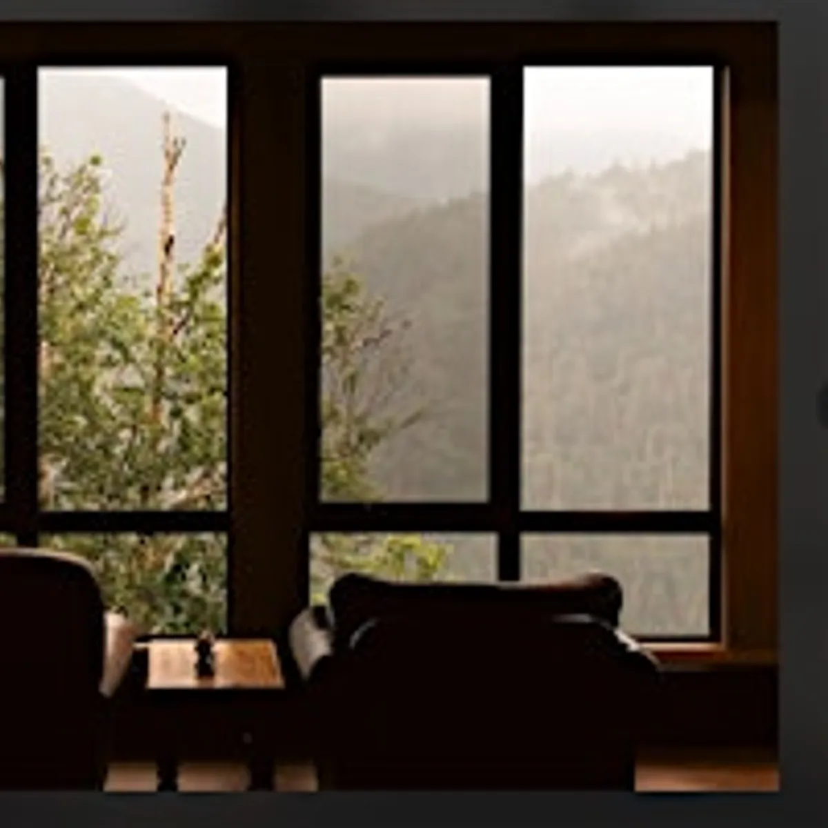 A 2-Day Peak State & Nervous System Reset ~ Stress Detox Course