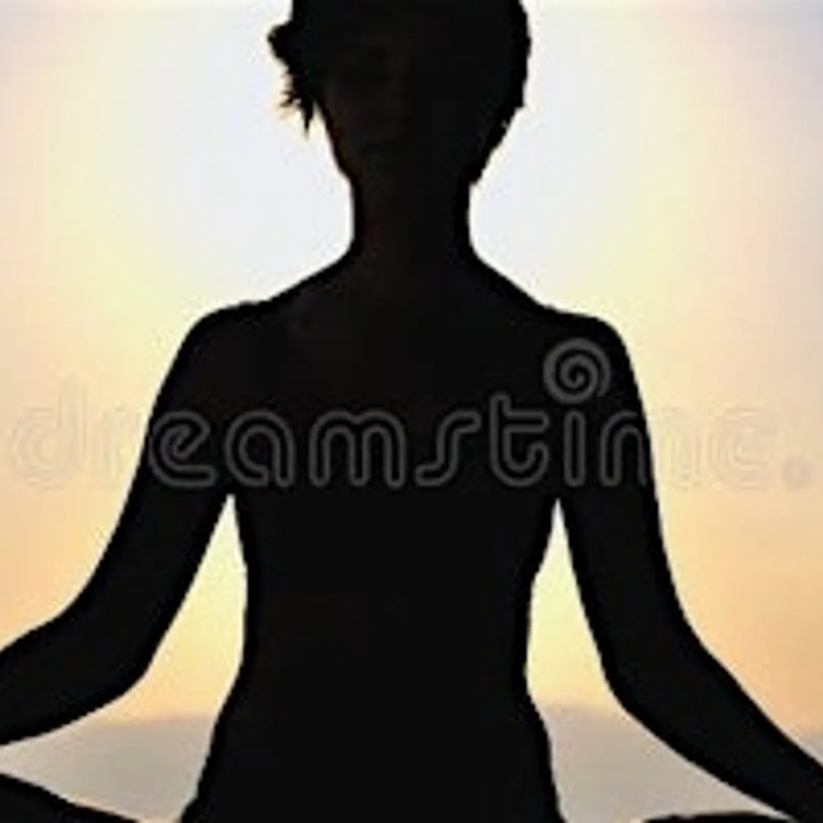 Donation Based Vinyasa Yoga