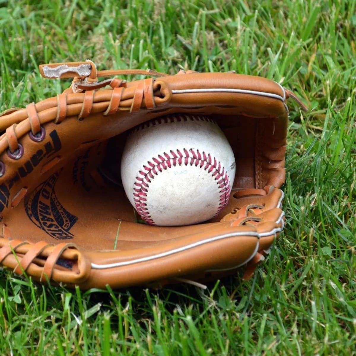 Palm Beach Cardinals vs. Fort Myers Mighty Mussels